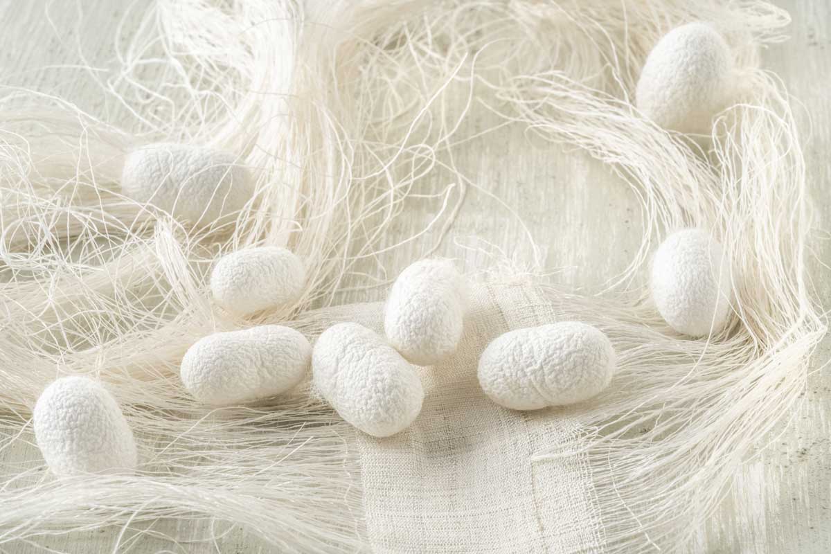 Lire la suite à propos de l’article La soie une fibre royale pour le tricot